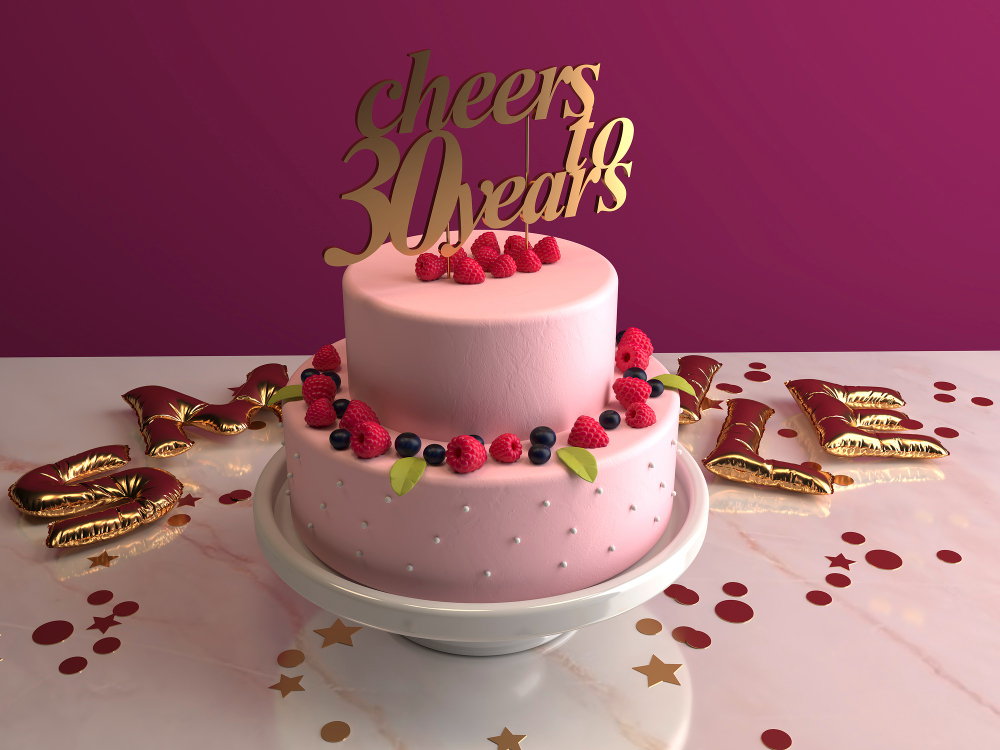 Imagen de galería 3